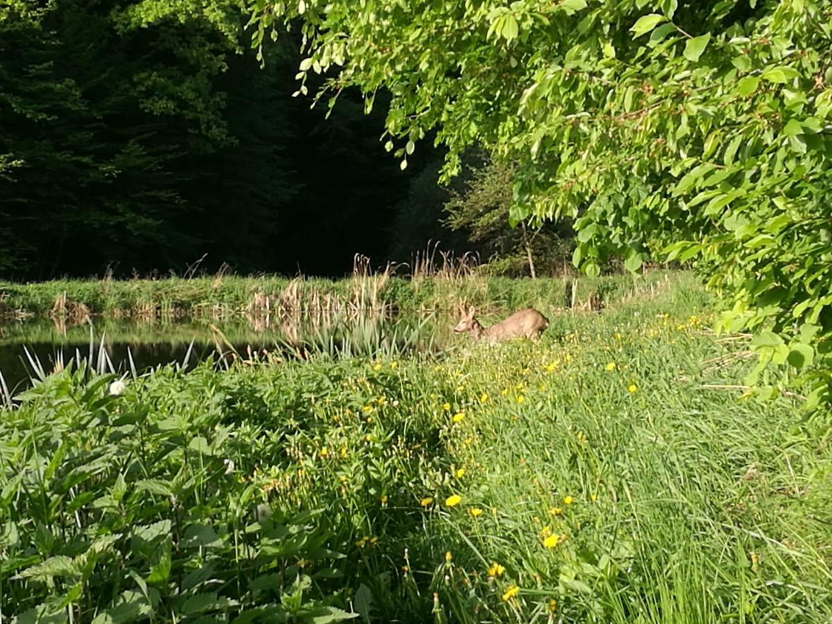 Agroturystyka U Krystyny Rybczewice Exteriör bild