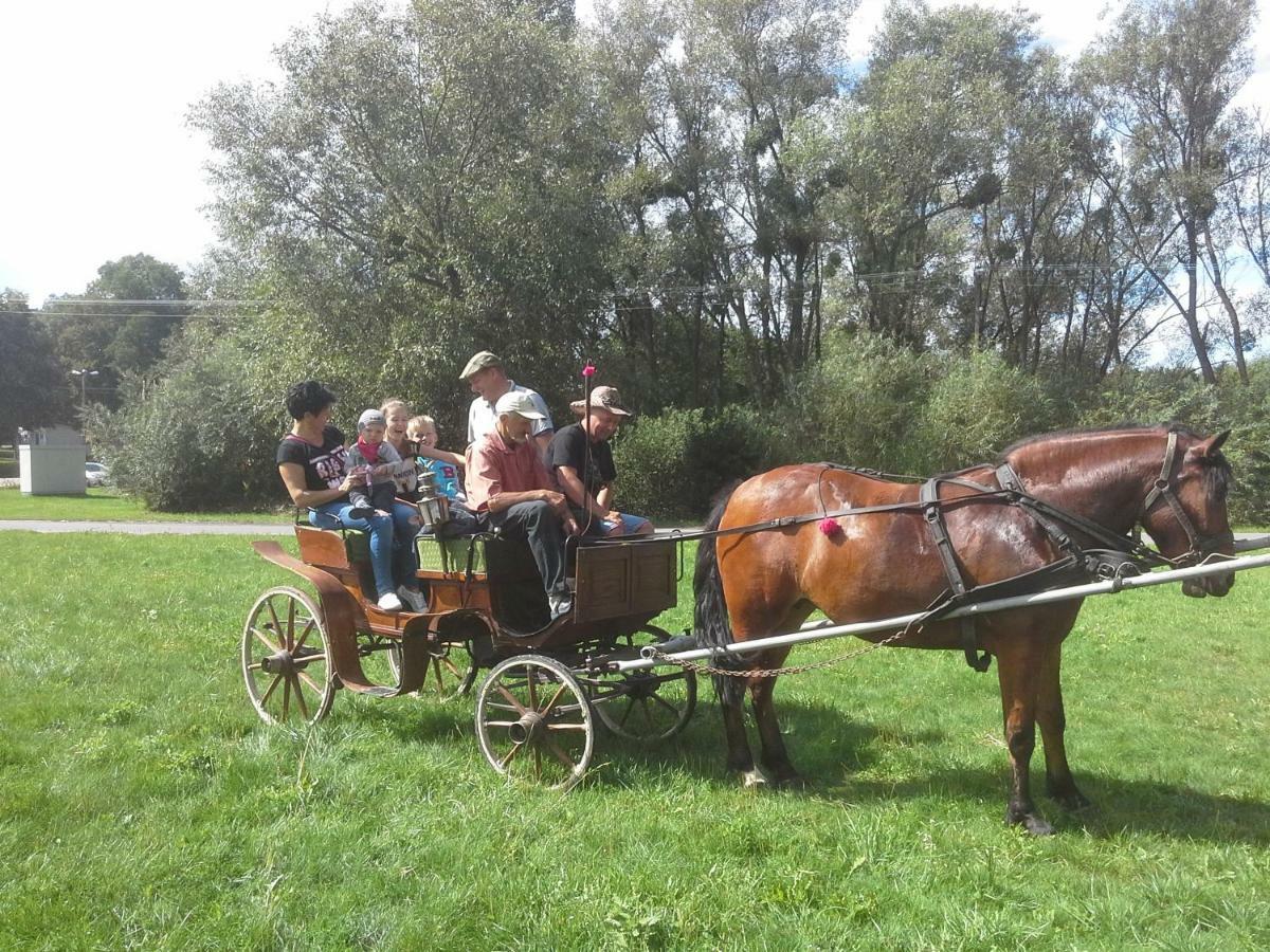 Agroturystyka U Krystyny Rybczewice Exteriör bild